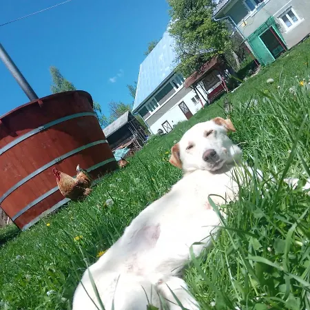 In Guest - Idylic Family Sejour With Hottube In Land Tarina